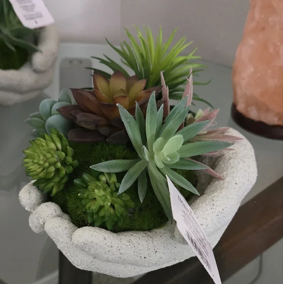 Succulents decorations artificial - Picture 2 of 3